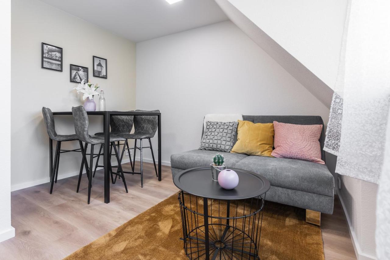 Boutique Apartments Am Stadtgarten Freiburg im Breisgau Phòng bức ảnh