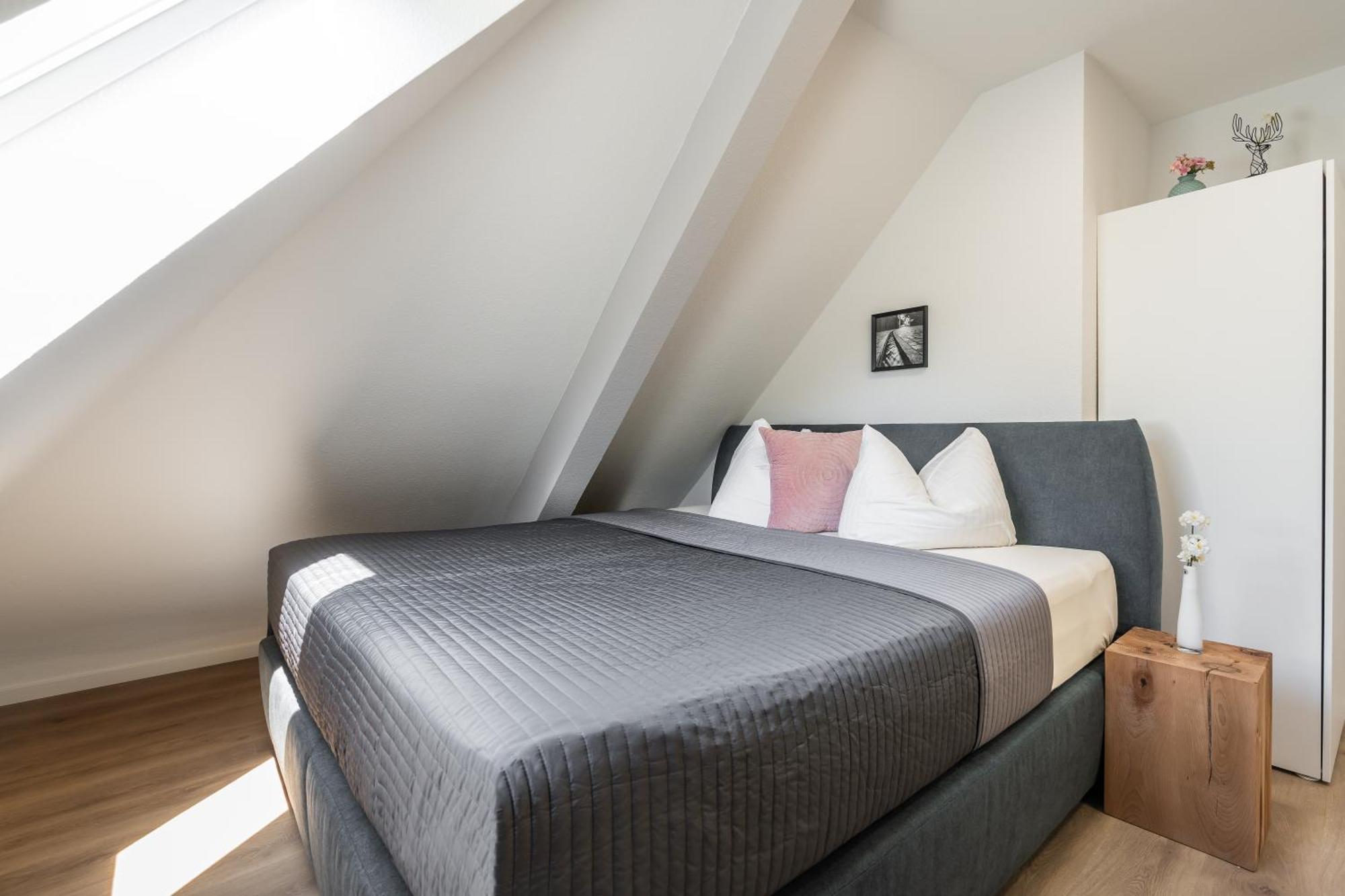 Boutique Apartments Am Stadtgarten Freiburg im Breisgau Phòng bức ảnh