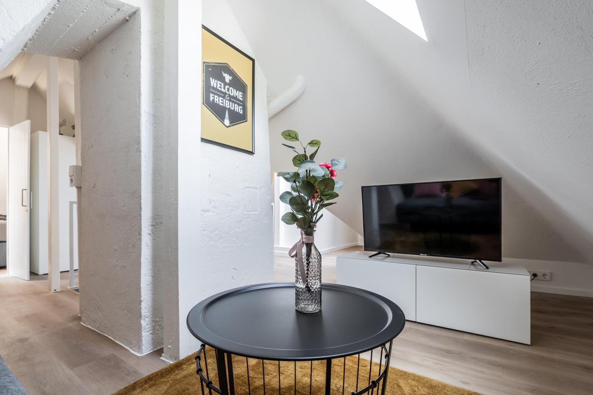 Boutique Apartments Am Stadtgarten Freiburg im Breisgau Phòng bức ảnh